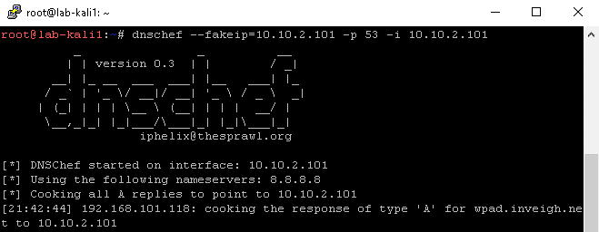 Dnschef